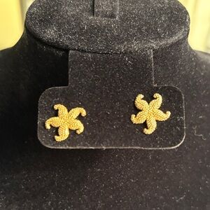 14k Yellow Gold Textured Starfish Earrings